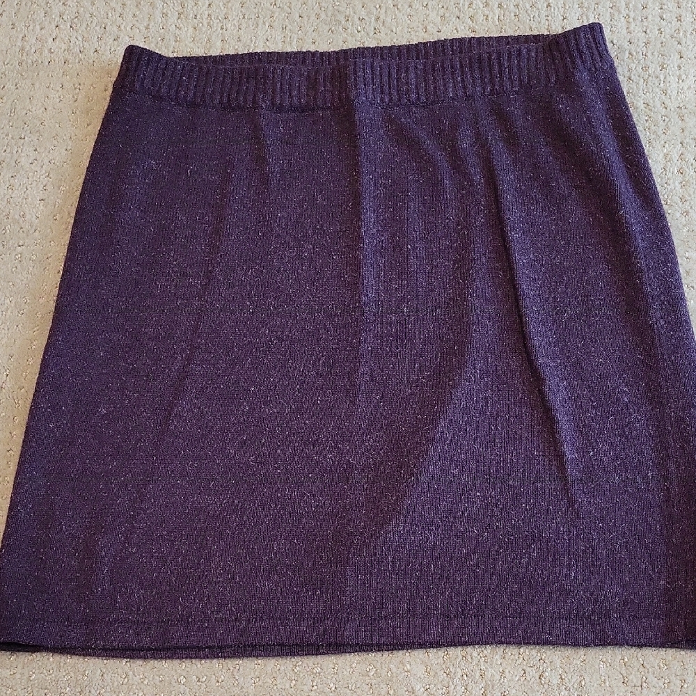 J. Jill Deep Purple Mini Skirt